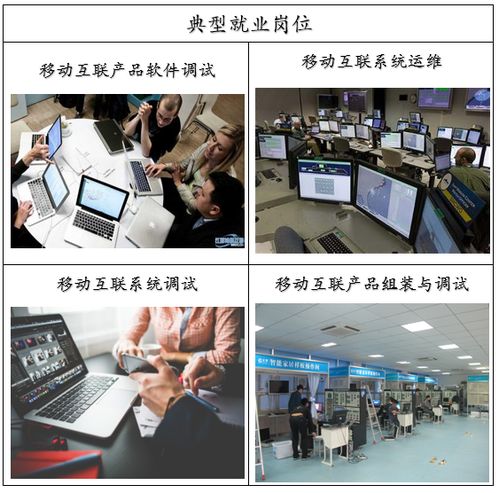 湖南商務職業技術學院 商務信息技術學院移動互聯應用技術專業設置與信息技術咨詢服務